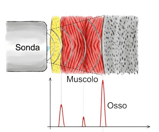 adipometria-supera-plicometria-ecco-perchè-dottssa-serenella-posta